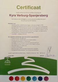 diploma 1